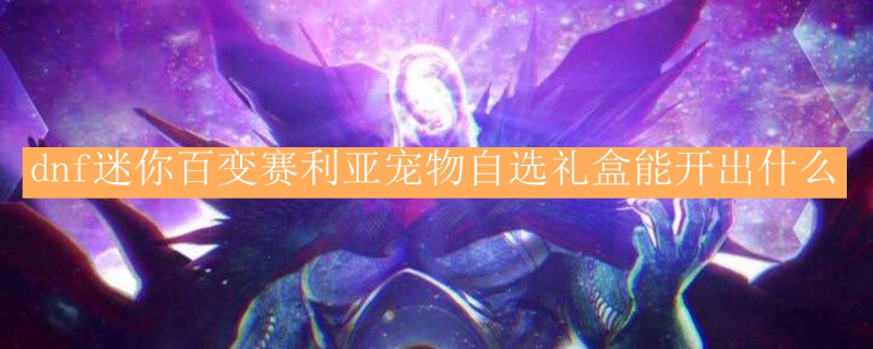dnf迷你百变赛利亚宠物自选礼盒能开出什么