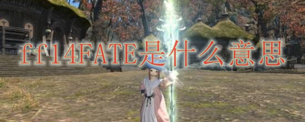 ff14fate是什么意思