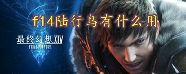 ff14陆行鸟有什么
