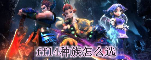 ff14种族怎么选