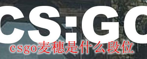 csgo麦穗是什么段位