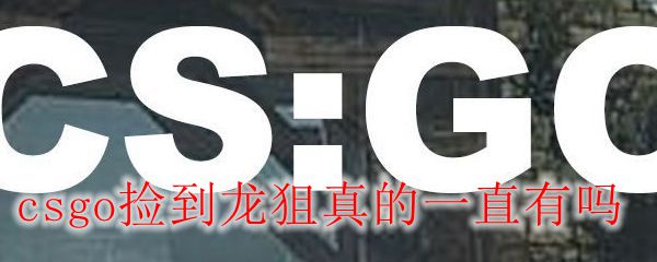 csgo捡到龙狙真的一直有吗