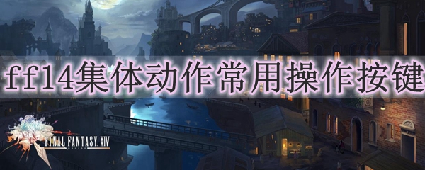 ff14集体动作常用操作按键