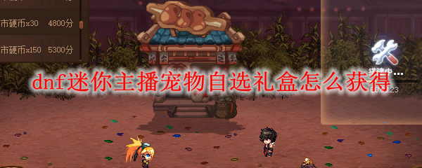 dnf迷你主播宠物自选礼盒怎么获得