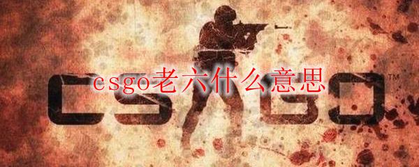 csgo老六什么意思