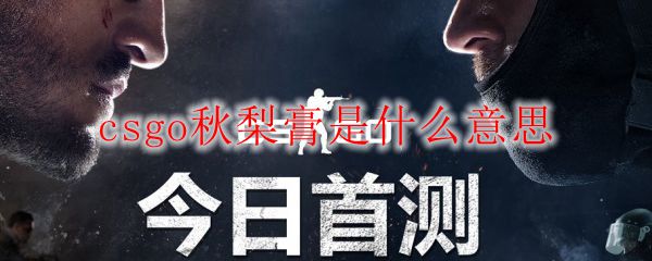 csgo秋梨膏是什么意思