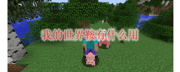 我的世界鞍有什么用