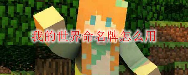 我的世界命名牌怎么用