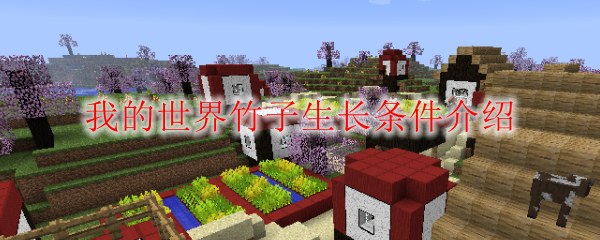 我的世界竹子生长条件介绍