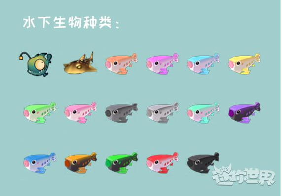 迷你世界鱼类大全介绍