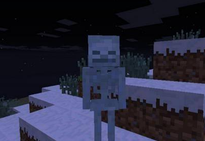 我的世界骷髅头颅怎么获得