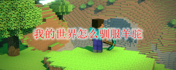 我的世界怎么驯服羊驼