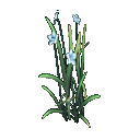 《剑网3》六瓣葱莲介绍