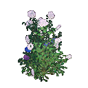 《剑网3》混栽八仙花一介绍