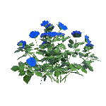 《剑网3》湖风玫瑰介绍