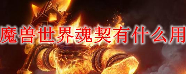 魔兽世界魂契有什么用