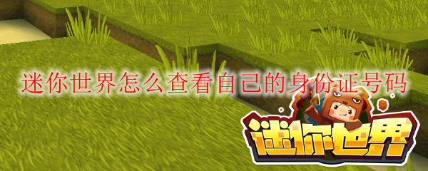 迷你世界怎么查看自己的身份证号码