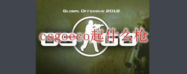 csgoeco起什么枪
