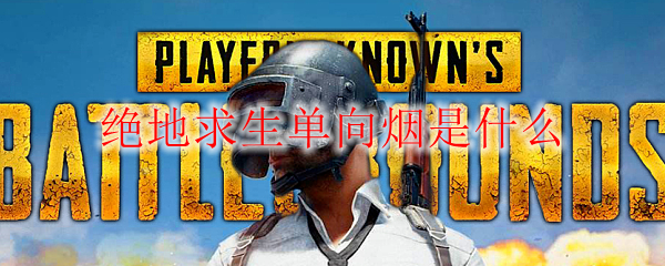 绝地求生单向烟是什么