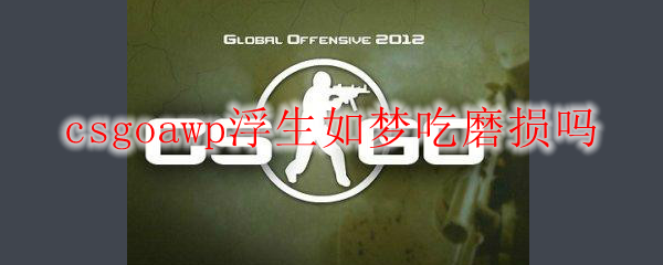 csgoawp浮生如梦吃磨损吗