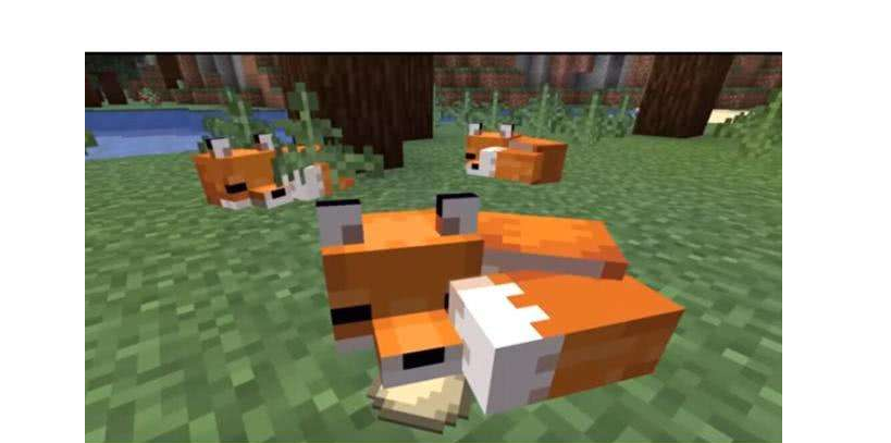 我的世界如何驯服狐狸