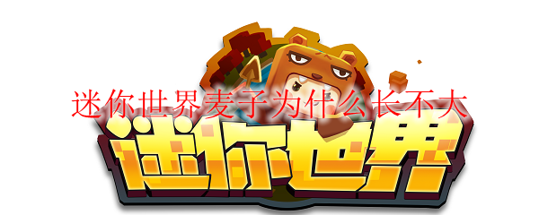 迷你世界麦子为什么长不大