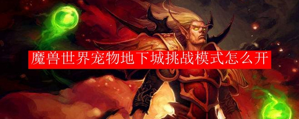 魔兽世界宠物地下城挑战模式怎么开