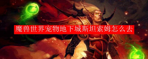 魔兽世界宠物地下城斯坦索姆怎么去