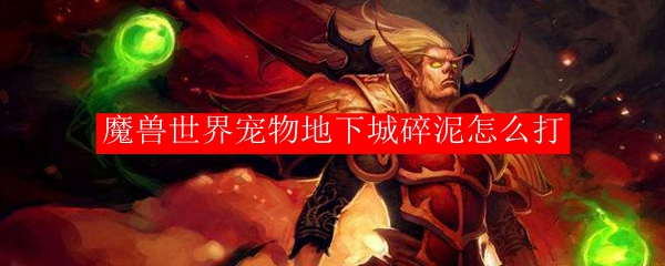 魔兽世界宠物地下城碎泥怎么打