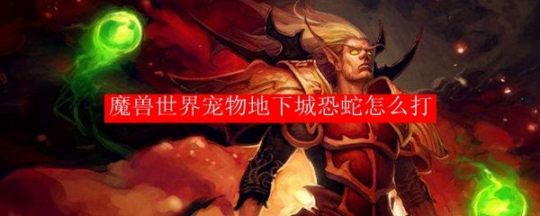 魔兽世界宠物地下城恐蛇怎么打