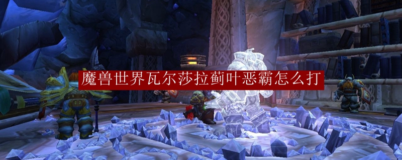 魔兽世界瓦尔莎拉蓟叶恶霸怎么打