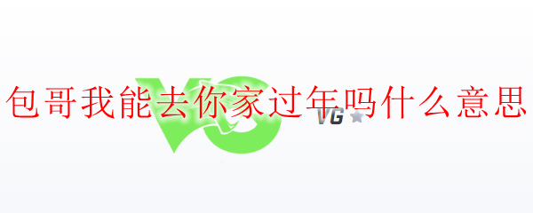 包哥我能去你家过年吗什么意思