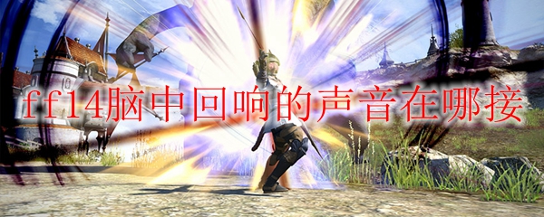 ff14脑中回响的声音在哪接