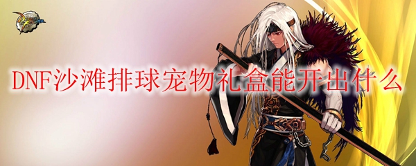 DNF沙滩排球宠物礼盒能开出什么