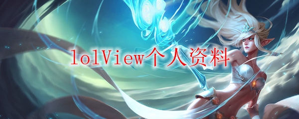 lolView个人资料