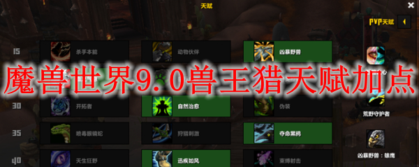 魔兽世界9.0兽王猎天赋加点