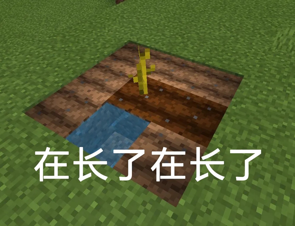 我的世界自动采瓜机怎么做