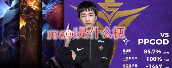 ppgod是什么梗