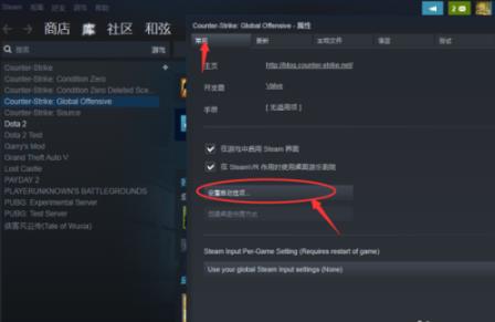 csgo国服启动项怎么设置