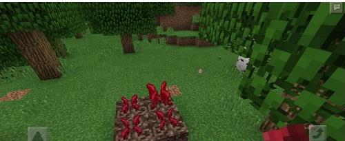 我的世界种子怎么种