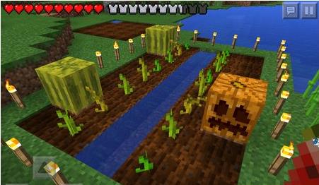 我的世界种子怎么种