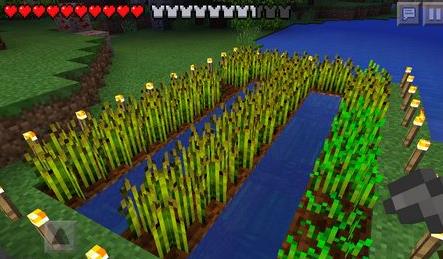 我的世界种子怎么种