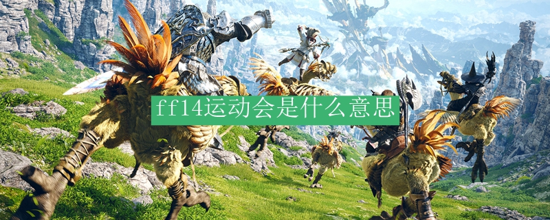 ff14运动会是什么意思