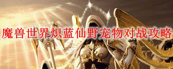 魔兽世界炽蓝仙野宠物对战攻略