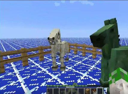 我的世界骷髅马怎么驯服