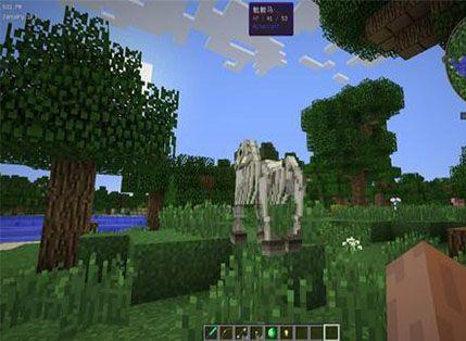 我的世界骷髅马怎么驯服