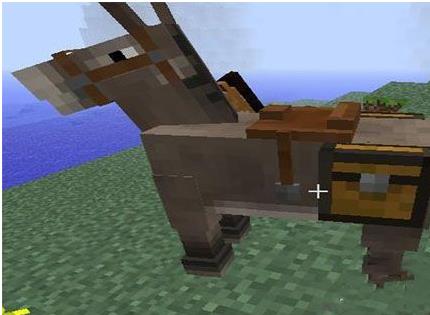 我的世界马吃什么回血