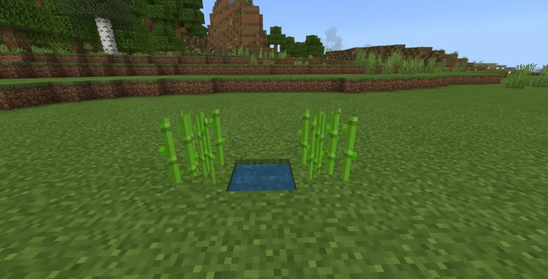 我的世界自动甘蔗机怎么做