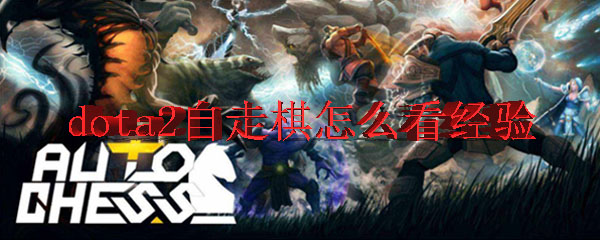dota2自走棋怎么看经验