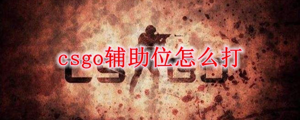 csgo辅助位怎么打